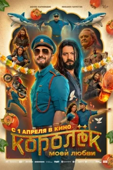 Постер Королёк моей любви (2026)
