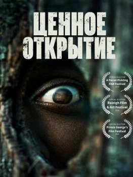 Постер Ценное открытие (2026)